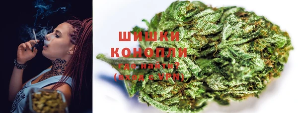 ПСИЛОЦИБИНОВЫЕ ГРИБЫ Каменка