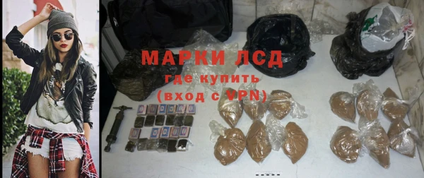 ПСИЛОЦИБИНОВЫЕ ГРИБЫ Каменка