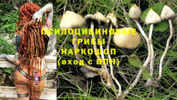 ECSTASY Каменск-Шахтинский