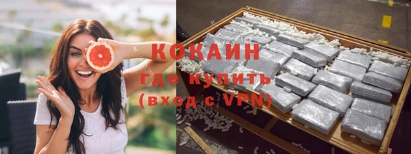 ПСИЛОЦИБИНОВЫЕ ГРИБЫ Каменка