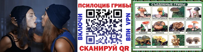 Галлюциногенные грибы Psilocybe  что такое   Череповец 