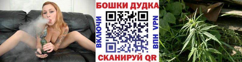 Бошки Шишки SATIVA & INDICA  блэк спрут сайт  Череповец  купить  